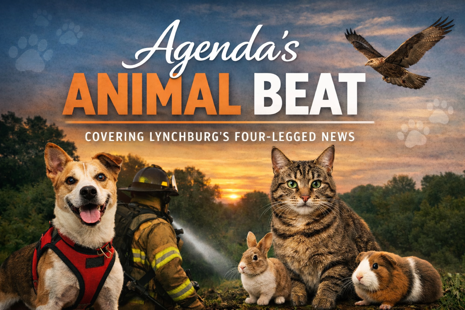 Agenda's Animal Beat