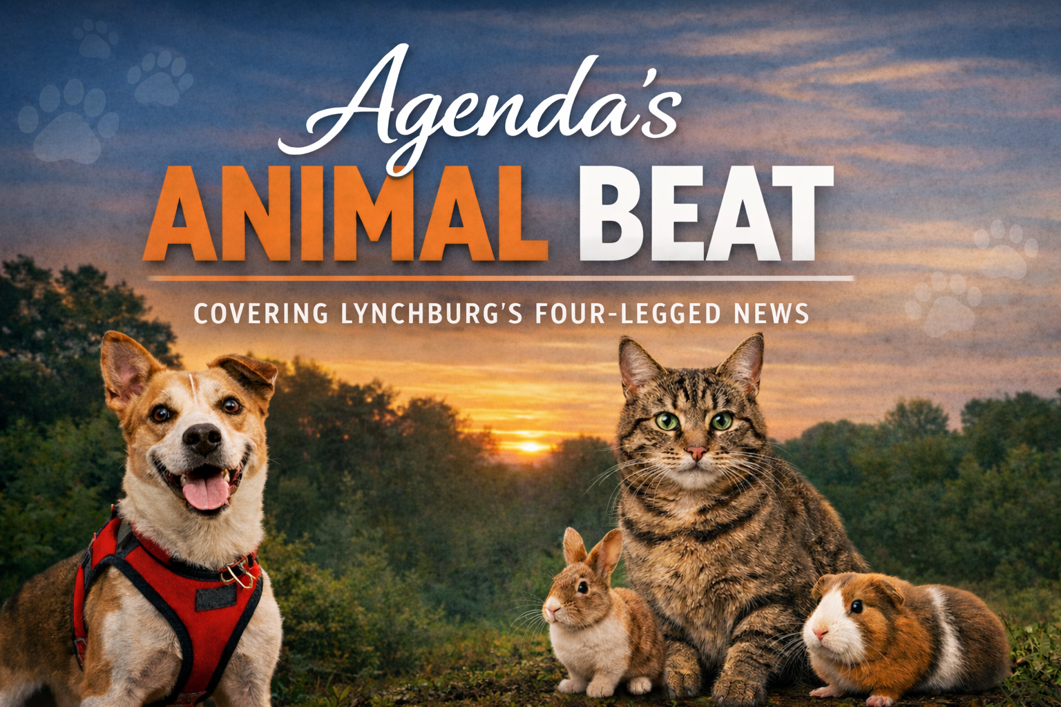 Agenda's Animal Beat