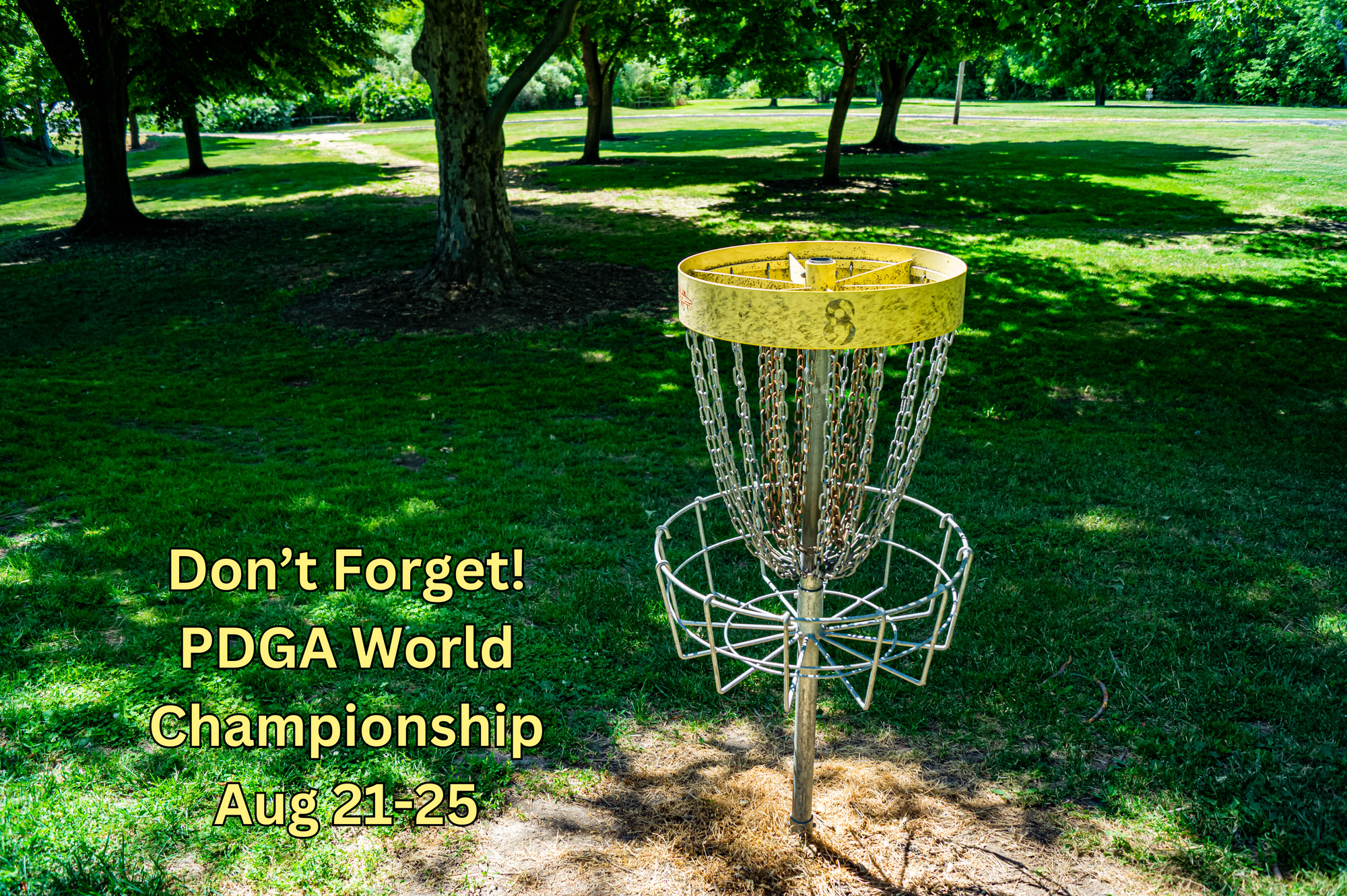 Disc Golf Championship Begins Next Week in Greater Lynchburg
