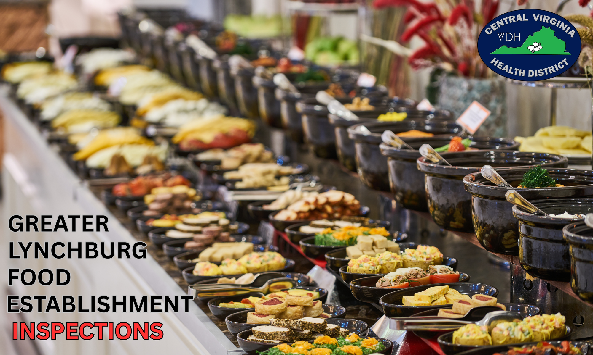 How Clean Are Greater Lynchburg Food Establishments?