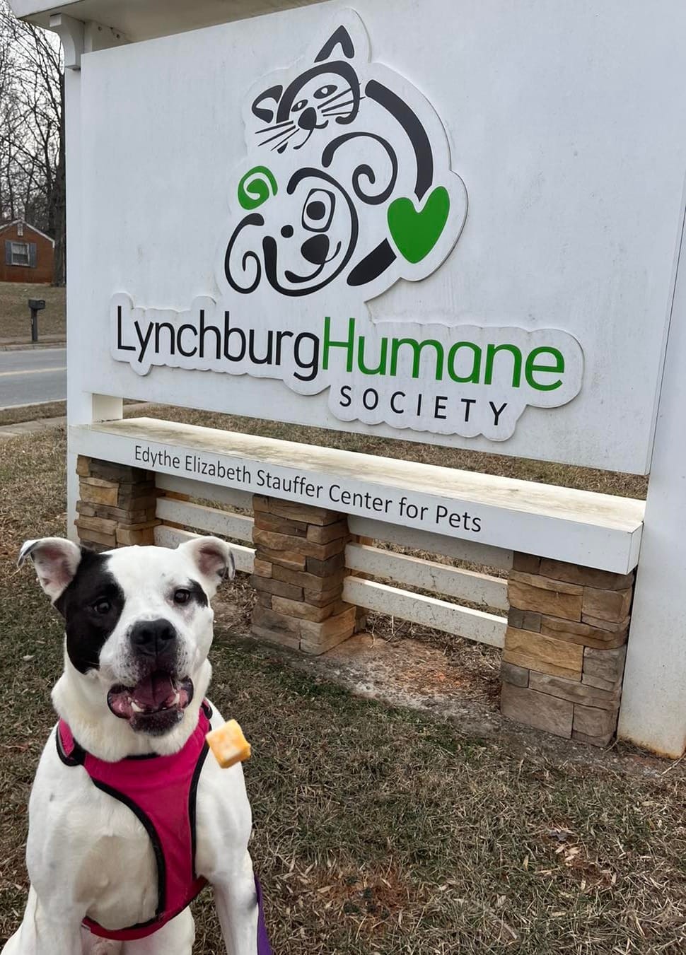 Lynchburg Humane Society Awarded Rachael Ray Grant to Help Save Pets